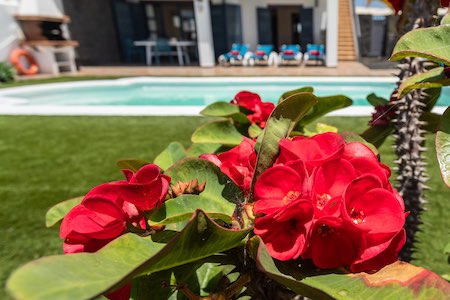 Foto de una villa - Villas Susaeta